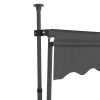 Manual Retractable Awning with LED 118.1" Anthracite