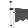 Manual Retractable Awning 118.1" Anthracite