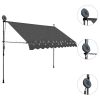 Manual Retractable Awning with LED 118.1" Anthracite