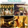 25FT Outdoor Globe String Lights Decorative Patio Lights Ball Fairy String Lamps with 25Pcs Bulbs for Garden Lawn Patio Cafe Party